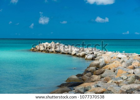 sublime panorama of the Caribbean in the tropical island of Aruba