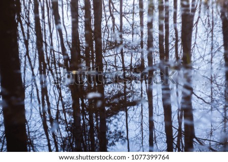 Small creek with reflections in the water in spring forest