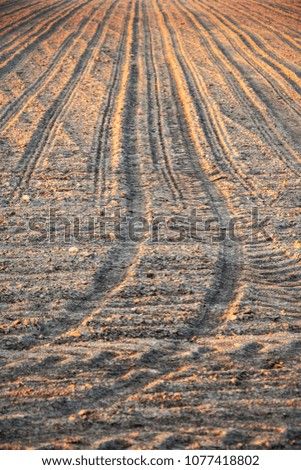 Detail of spring empty field with lines in morning light - vertical agricultural background