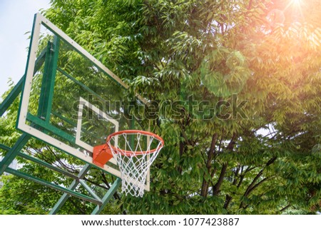 A basketball goal set under the shade of a tree