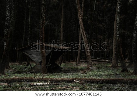 Landscape photo about lightened cabin in a dark forest, which is a cabin by hunter to feed animal