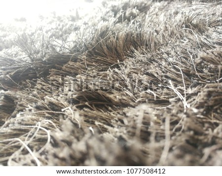 Texture of fiber carpet