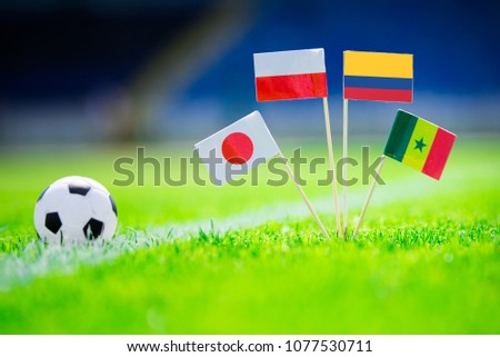 Group H - Poland, Senegal, Columbia, Japan national Flag and football ball on green grass. Fans, support photo, edit space. 