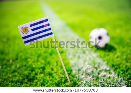 Uruguay national Flag and football ball on green grass. Fans, support photo, edit space. 