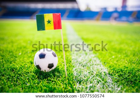 Senegal national Flag and football ball on green grass. Fans, support photo, edit space. Original wallpaper for World cup in Russia 2018.