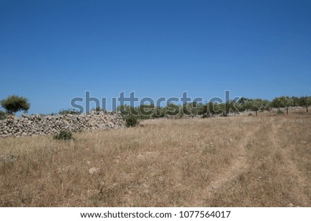 Landscape, plateau, Riserva Naturale orientata Cavagrande del Cassibile