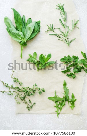 Fresh culinary herbs on white background: rosemary, thyme, mint, arugula, basil and parsley in small bunches