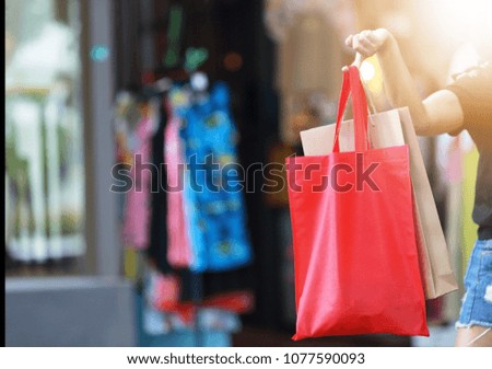 Young woman holding shopping bags   Bag shopping concept