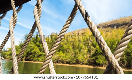 rope close up  background in nature