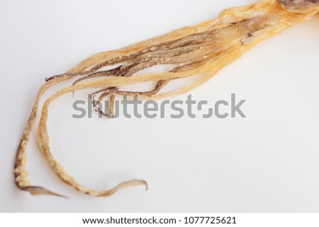 Close-up of dry squid