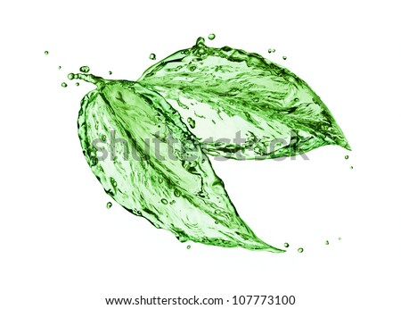 Green leaf Royalty-Free Stock Photo #107773100