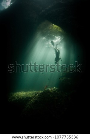 Sunlight filters through an underwater cavern in Raja Ampat. This tropical region is known as the heart of the Coral Triangle due to its marine biodiversity.