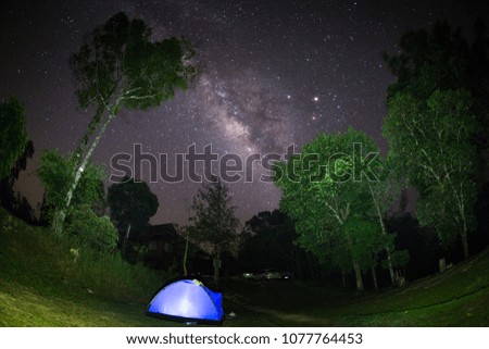 Milky way in the dark sky. turn on the light in tent. Tall tree in forest.
