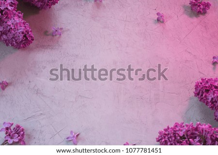 Lilacs on the cement background with purple light and free space for copy paste in the middle
