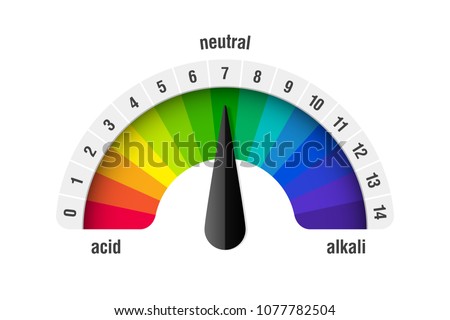 pH value scale meter for acid and alkaline solutions, acid-base balance infographic, vector illustration Royalty-Free Stock Photo #1077782504