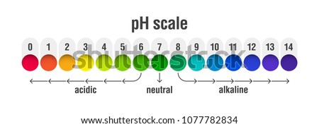 pH value scale chart for acid and alkaline solutions, acid-base balance infographic, vector illustration Royalty-Free Stock Photo #1077782834