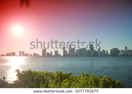 City of Miami Skyline Late Afternoon in April with Leaves Below, the Sun and Clear Blue Sky Accentuated by a Red Graduated Filter