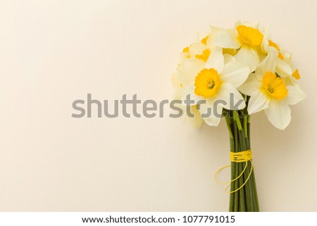White daffodil bouquet on yellow pastel background with copy space. Closeup photography of spring flowers narcissus - tender floral comosition for greeting card or congratulation banner.