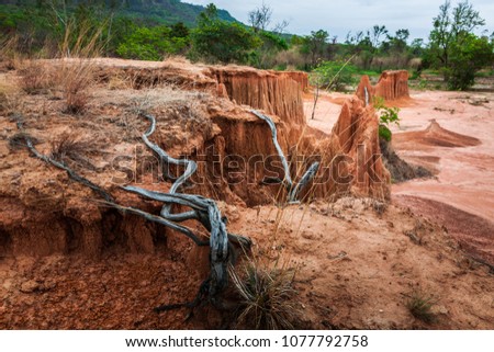 Lalu Park in Sakaeo province, Thailand, due to soil erosion has produced stranges shapes.
