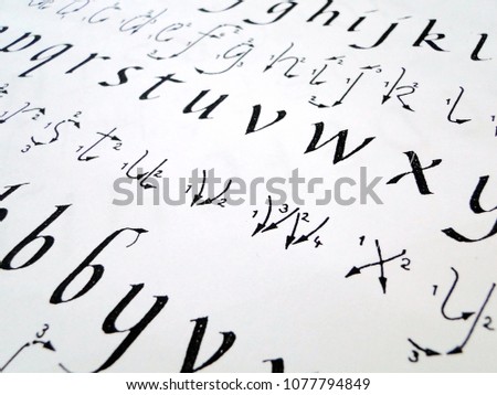 Calligraphy sheet with detailed instructions how to form letters. Start to Learn Calligraphy, train and practise