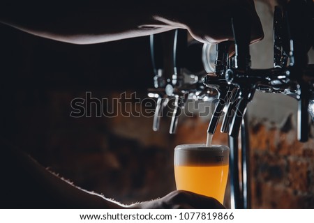 Light Draft cold beer pour in glass from crane in pub. Royalty-Free Stock Photo #1077819866