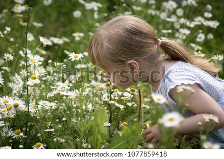 little blonde girl in dress in a field of blooming daisies sniffs flowers