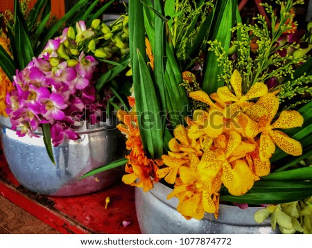 Orchid and flowers for worship the Buddha statue