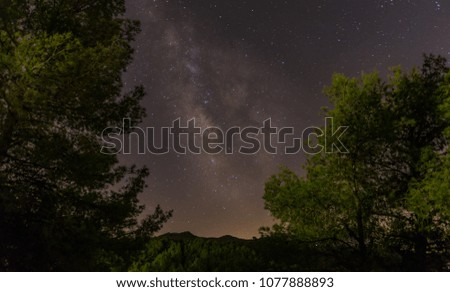 Milky Way galaxy and pine trees on the summer night in Spain
