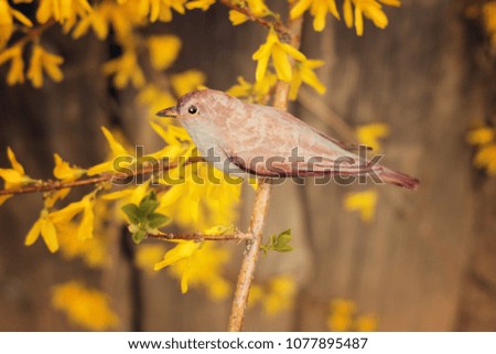 a wooden bird on the blossoming branch / spring card