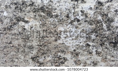 oldest concrete surface