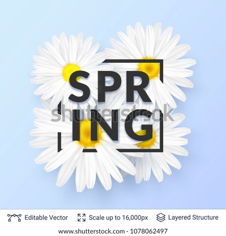 Spring season flowers and text. Beautiful vector background editable for greeting cards, posters, banners and flyers.