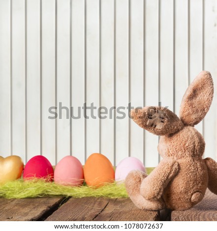 Colorful easter eggs and bunny