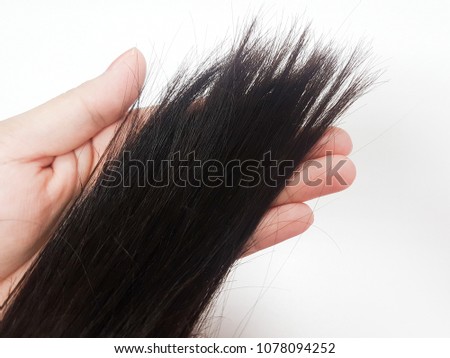 A hand is holding hair breakage. Hair problem. Royalty-Free Stock Photo #1078094252