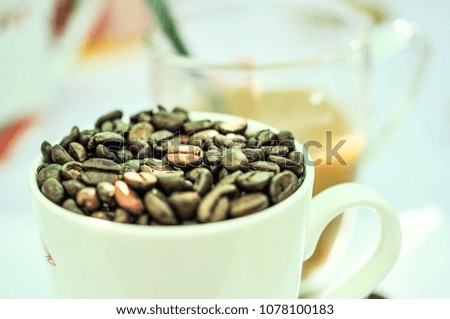 Roasted coffee beans invite you to taste. The picture is clearer, deeper, focused, spot on the coffee beans.