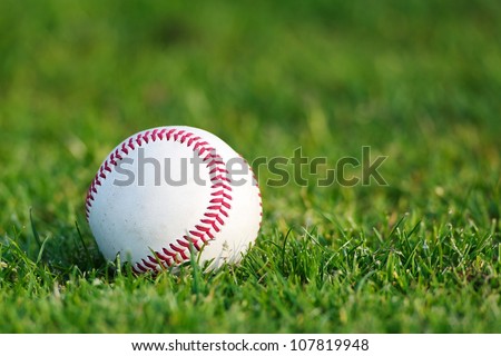 A white used baseball on the fresh green grass with copy space