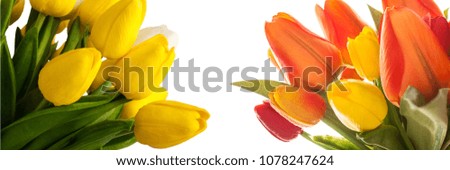 Vintage yellow and red tulips