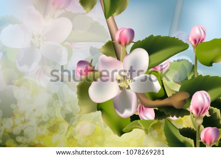 Cherry flowers background Vector. Beautiful spring cards