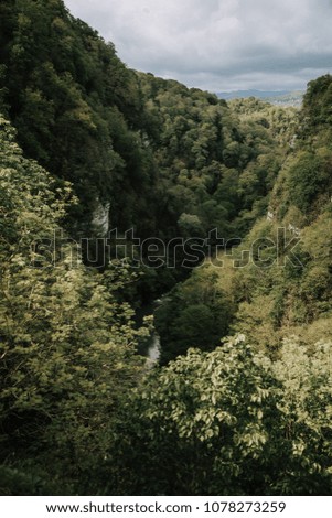 Mountain landscape and forest. Walking in the mountains and mountain rivers