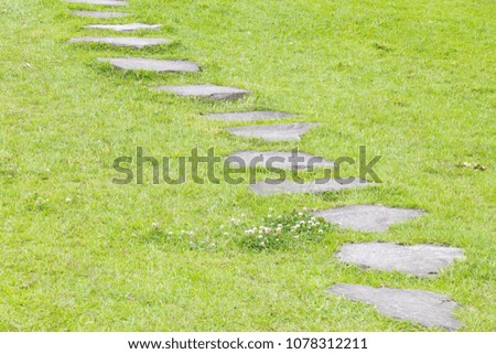 Japanese stone path and green grass in the garden