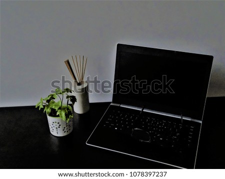 Laptop and plant