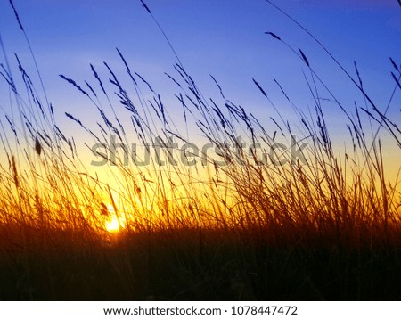 Colorful, vibrant and calm summer landscape with a sunset