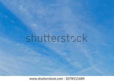 Summer background, wonderful blue sky