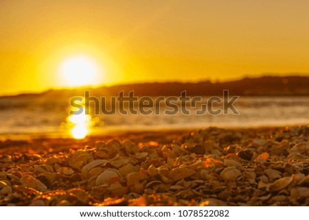 A beautiful sunset on the beach,  nowhere in sweden