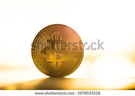 Gold bitcoin coin placed on white background in the light of sunset. Virtual currency symbol.