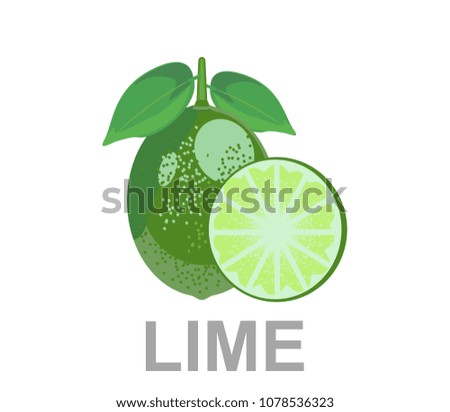Lime icon entirely and in a cut