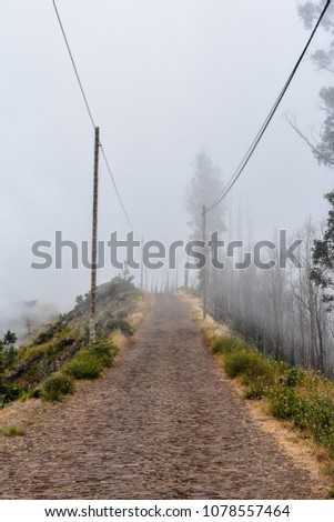 Madeira Island hiking and nature photography, Portugal
