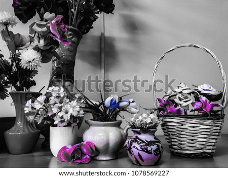 Colorful composition of flowers