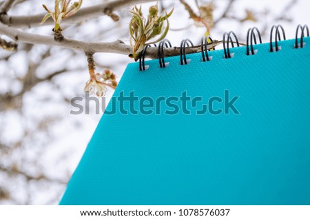 Notebook on the tree in winter, education