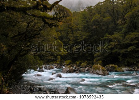 This pic was taken on the way to Milford Sound in NewZealand.The picture itself reminds me of a painting.This is without a doubt my masterpiece.