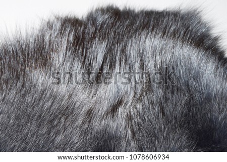Fur texture gray with brown overflow. Photo of natural fox fur.